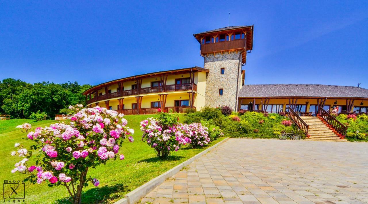 Pensiunea Casa Buna Gîrbova Exterior foto
